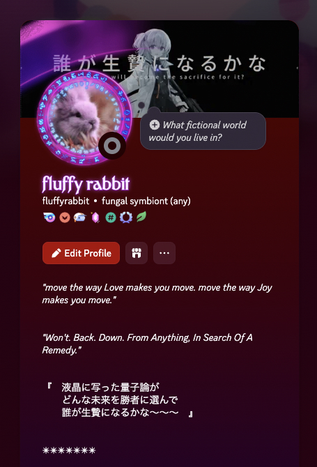 fluffy rabbit — Discord profile